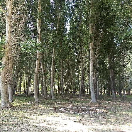 Cabana Ecologica Uspallata Bagian luar foto