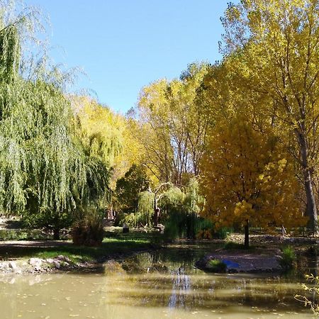 Cabana Ecologica Uspallata Bagian luar foto